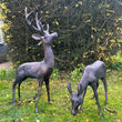 Set 2 Large Garden Deer Metal Sculptures Garden Sculptures Candle and Blue Interiors