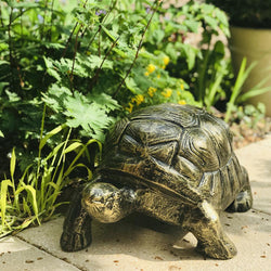 Medium Sized Metal Tortoise Garden Sculpture Garden Sculptures Candle and Blue
