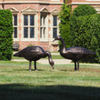 Pair of Metal Garden Geese Sculptures Garden Sculptures Candle and Blue
