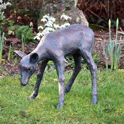 Cast aluminium statue of a small standing fawn on grass with flowers and rocks in the background