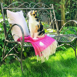 Decorative Black Metal Garden Bench Seat For 2 Garden Furniture Candle and Blue Interiors 