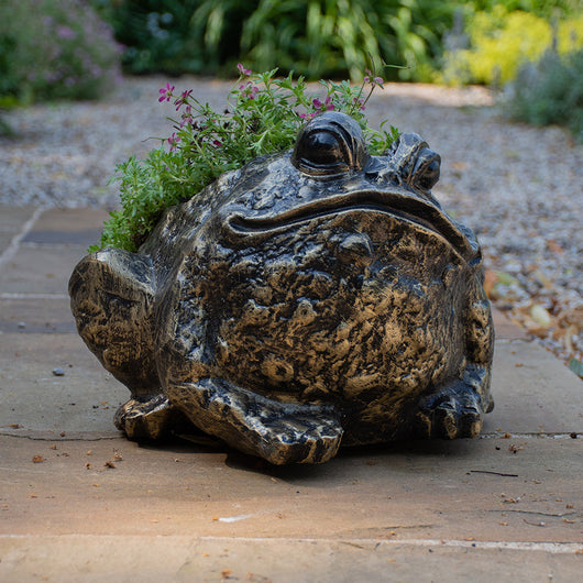 Small Bullfrog Garden Plant Pot Garden Pot Saucers & Trays Candle and Blue Interiors 