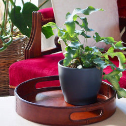 Small Round Leather Serving Drinks or Tray Handles Luxury Leather Storage Candle and Blue Interiors 